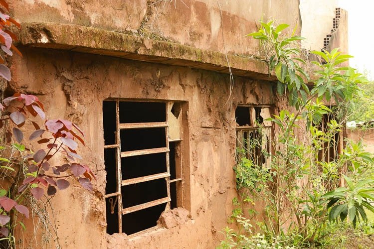 A imagem mostra uma casa de Bento Rodrigues, coberta por lama e algumas plantas nascendo ao redor