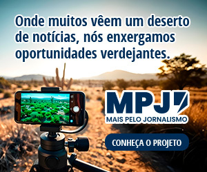 /apidata/imgcache/676934f3b347bb11ac29e12aa7bbf424.jpeg?banner=col4&when=1770334272&who=345