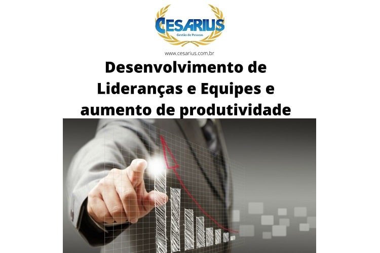 Desenvolvimento de lideranças e equipes 2